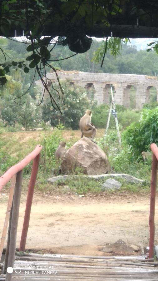 Om Shanti Om Homestay 함피 외부 사진